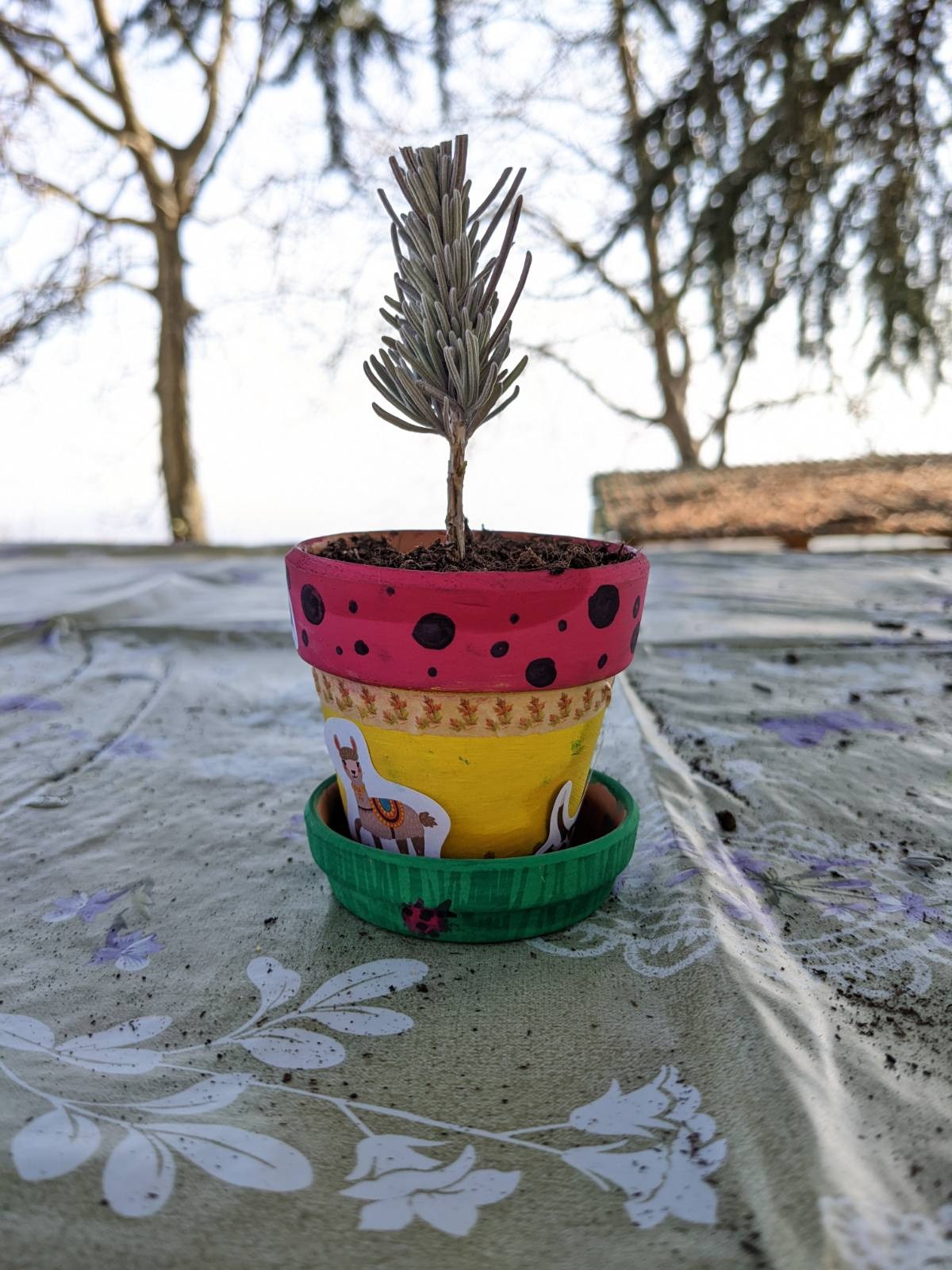 Un rametto di lavanda in un vasetto decorato